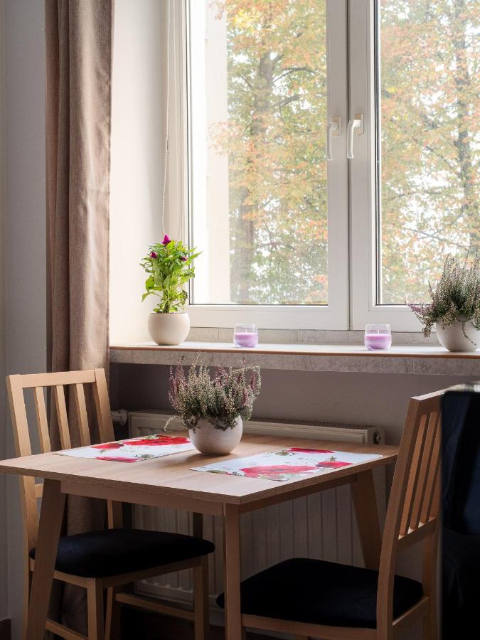 Cozy Warsaw City Center Studio公寓 外观 照片